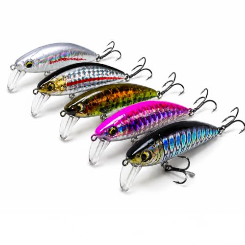Pack for Trail Fishing Lures for Bass, Sinking Minnow Jerkbait with Box, Long Casting Wobbling Crankbait, 3D Eyes & Sharp Treble Hooks, Freshwater Fishing Hard Baits for Bass Walleye Crappie