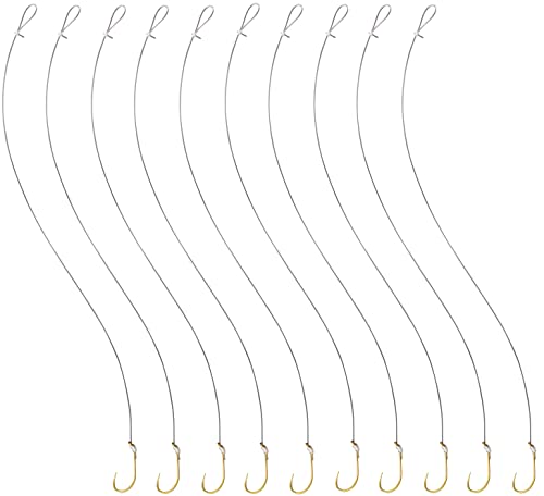 1/0-3/0 Baitholder Fishing Hook with 12" Leader - 10pcs - size: 3/0