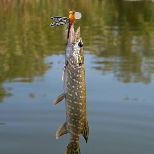 Topwater Fishing Lures Insect Fishing Lures Dragonfly Fishing Lures Dragonfly Lure Fishing Bait with Hooks for Outdoor Fishing Tools - color: Dragonfly 4pcs