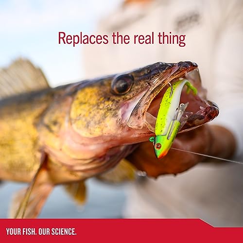 Berkley Gulp! Minnow Fishing Soft Bait - color: Gold Leaf, size: 2 1/2"