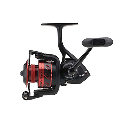 Penn Fierce III Spinning Inshore Fishing Reel, Size 2000, Right/Left Handle Position, 5 Bearings for Smooth Operation - size: 2500 - Plastic Clam, style: Fierce III