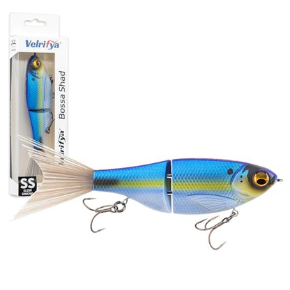Bossa Shad Multi-Jointed Swimbait – Realistic Shad Profile with Natural Swimming Action for Bass Fishing - color: 03-Ghost Blue