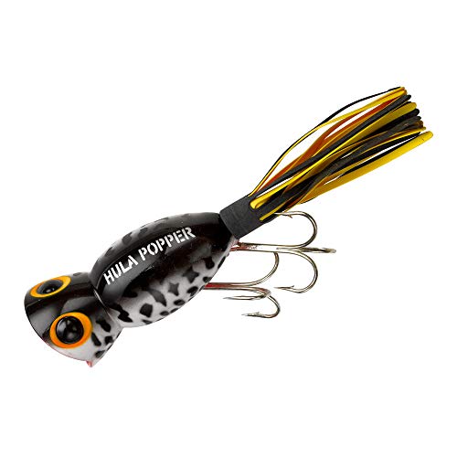 Arbogast Hula Popper Topwater Bass Fishing Lure - color: Coach Dog Orange Belly, size: 2 in, 3/8 oz