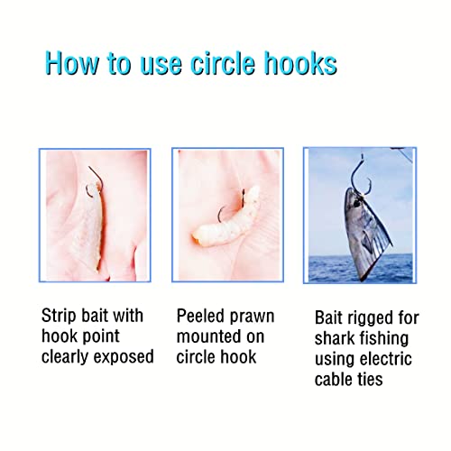 Catfishing Circle Hooks 50/100Pcs Octopus Fishing Circle Hooks Saltwater Freshwater for Catfish Bass Redfish 1/0 2/0 /3/0 4/0 5/0 6/0 7/0 8/0 9/0 10/0 12/0 14/0 - size: 100PCS 2#