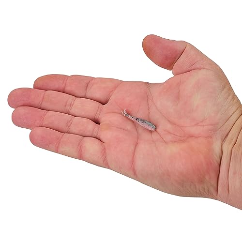 Berkley Gulp! Alive! Minnow Fishing Soft Bait - color: Rainbow Trout, size: 1in - Jar