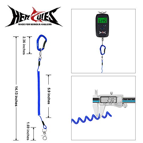 HERCULES M4 Fishing Lanyard, Fishing Pole Tether, Kayak Paddle Leash, Heavy Duty Retractable Coiled Lanyard for Fishing, Rods, Pliers, Boating, Paddles, Kayak - color: Pack of 2 Blue, 5.9"