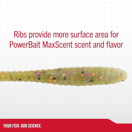 Berkley Berkley PowerBait MaxScent Flat Worm - color: Green Pumpkin, size: 4.25"