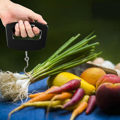 MAGICLULU Portable Digital Fishing Scale and Travel Luggage Weight Scale 50kg/10g Precision LCD for Outdoor and Home Use