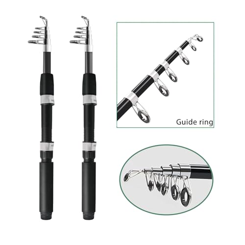 2PACK Fishing Pole Combo,Fishing Rod Combos with Telescopic Fishing Pole Spinning Reels Fishing Carrier Bag for Travel Saltwater Freshwater - color: Silvery