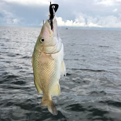 Fly Fishing Poppers Fly Fishing Dry Flies Topwater Fishing Lures Bass Popper Flies Bugs Lures Panfish Bait Fly Trout Bobber Flies Kit for Bass Trout Panfish Bluegill Salmon - color: A: 10pcs Fly Fishing Poppers