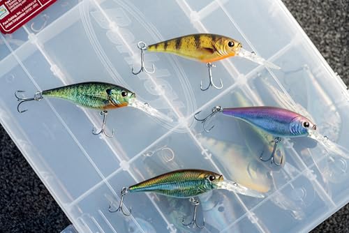 Berkley Flicker Shad Fishing Lure, Firetail Chrome Candy, 5/16 oz, 2 3/4in | 7cm Crankbaits, Size, Profile and Dive Depth Imitates Real Shad, Equipped with Fusion19 Hook - color: Firetail Chrome Candy, size: 2 3/4in - 5/16 oz