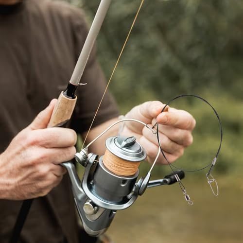 Totority 10pcs Steel Wire Fishing Leaders 50cm Anti-bite Saltwater and Freshwater Fishing Line Stainless Steel Heavy Duty and Hooks
