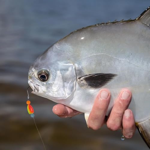 Pompano Rigs for Surf Fishing Saltwater Pre-Rigged Fishing Rigs with Floats Beads Double Circle Hook Surf Fishing Tackle 5/12/15PCS - color: chartreuse+orange/yellow-6pcs