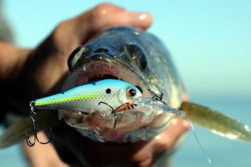 Bandit Lures Walleye Shad - color: Firecraw, size: WS2 (2-11/16")