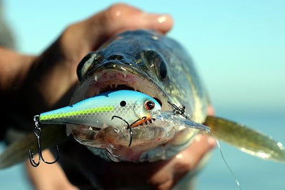 Bandit Lures Walleye Shad - color: Fruit Dots, size: WS1 (2-3/8")