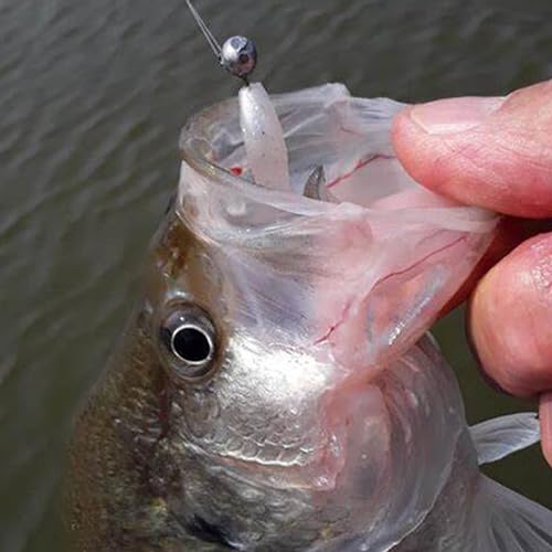 Soft Plastic Fishing Lure Jig Head Hook Kit,Grub Worm Lures Crappie Jigs Head Grub Tail Swimbait Tube Bait Jigs for Saltwater Freshwater, Trout Crappie Fishing - color: 110PCS Sets