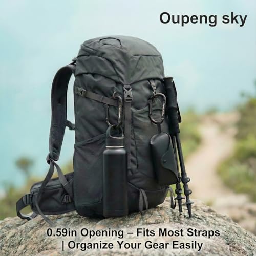 Carabiner Clip - Heavy Duty Carabiners 800lbs-13KN (2922 lbs) Carabeaner D Ring Shape,Key Chain Clip Hook,Keychain Clip,Multipurpose for Camping, Hiking,Backpacking or Other Outdoor Activities. - style: 24PCS 2.5 Inch(800 lbs)