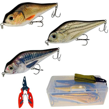 Fishing Lure Swimbait Crankbait Trout Bass Catfish Muskie Bait Fishing Accessories Fishhook Hunting - color: Jerkbait-6''-3PCS-Set A