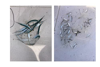 Ballyhoo Bait Net - Collapsible Hoop Net - Folds for Easy Storage