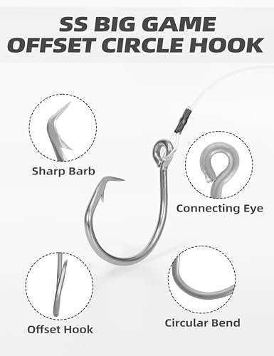 BLUEWING Fishing Grouper Rig Saltwater Fishing Rig with 2/4/6/8oz Egg Sinker Weight, Mono Line and Stainless Steel Circle Hook for Offshore Big Game - size: 10/0-4oz-0.9mm-100lbs