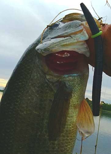 Sink-O-Ring Wacky Rig Kit O Ring NO Tool Needed Use Senko Worms Fishing Hooks O-Rings Easy to Rig Saves Time and Money (1/4", 3/8" OR 5/8" Black)