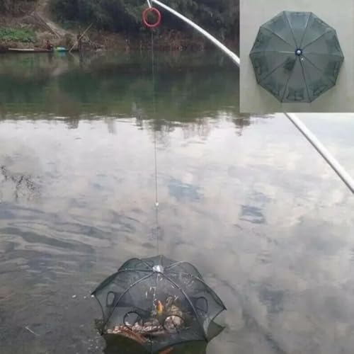 Wander Peaks Foldable Fishing Bait Trap, Collapsible Mesh Cage for Crab Shrimp Minnow Crawdad, Easy Setup Portable Angler Trap for Freshwater Pond Lake