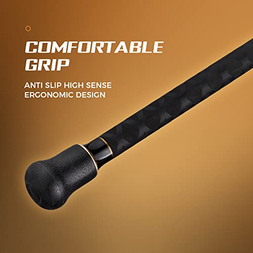 BERRYPRO Surf Spinning Fishing Rod Graphite Spinning Rod - size: 10'-Spinning-2pc