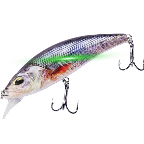 HADORAM Electric Twitching Jerkbait USB Rechargeable LED Lighted Wobbler Luminous Vibrating Minnow Bait, Long Casting Flashing Bass Fishing Lures for Freshwater Saltwater - color: 3.5in-Color 711