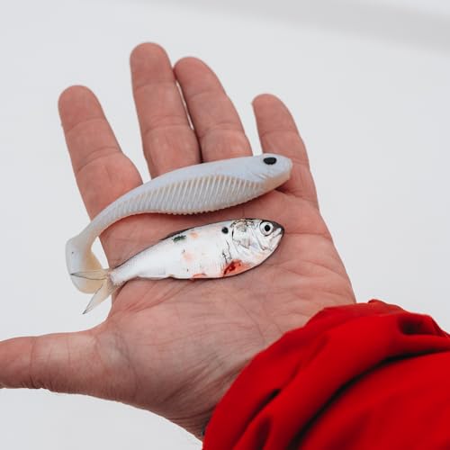 Nomad Design Live Ops Dozer 3” Minnow Unrigged Swimbait Soft Bait Lure, Slow-Speed High Vibration with Reactor-UV & Glow, Pink Floss (5 Pack), for Speckled Trout & Redfish