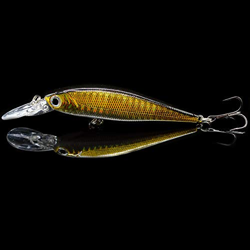 10 Pack Fishing Lures Hard Baits, Minnow Crankbait & Swimbait Lure Kit for Freshwater & Saltwater, Bass, Trout, Walleye, Redfish