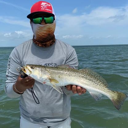 A.M. Fishing Curly Tail Jerkshad 4 Inch Soft Baits Garlic Infused,– 8 Pack – Saltwater & Freshwater Fishing Lures for Bass, Redfish, Snook, and Trout - color: Baby Trout