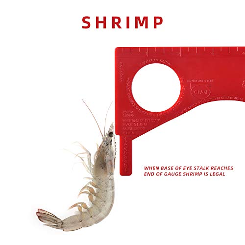 Dungeness Crab Gauge Measure with Ruler Multi Shrimp Clam Measuring Tool for Oregon, Washington and California - style: RD-1