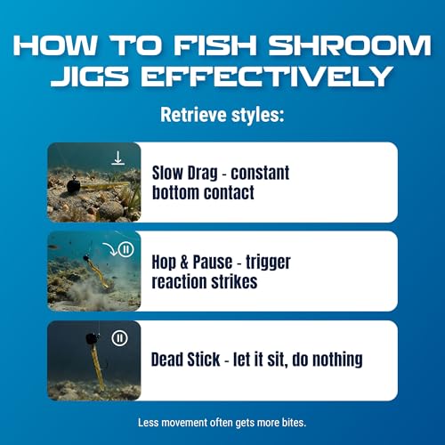 Reaction Tackle Mushroom Jig Heads for Ned Rig Finesse Bass Fishing, Stand-Up Design with Standard and EWG Hook Options (25-Pack) - color: Black EWG, size: 1/16 Oz