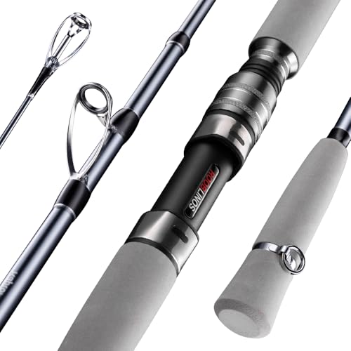 Raptor Saltwater Fishing Rod 6 Foot Spinning Casting 2 Pieces Offshore Boat Pole 27T High Carbon Fiber Baitcaster Lightweight Stainless Steel Guides Bass Trout Catfish Boat Fishing Rod