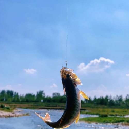 High Carbon Steel Fishing Hooks Set, Assorted Sizes Fly Fishing Hook Kit with Plastic Box, Barbed Terminal Tackle for Freshwater Saltwater Angling, 100 or 500 Pieces(500 per box) - size: 500 per box