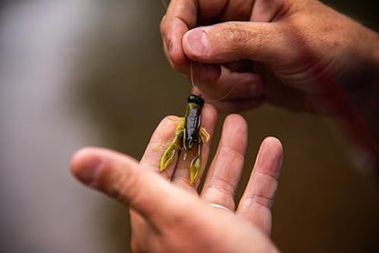 Rebel LIVEFLEX™ Creek Craw Soft Plastic - color: Texas Red