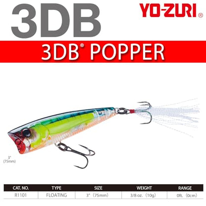 Yo-Zuri 3DB Popper, Floating, 3 Inch, 75mm, Gizzard Shad - color: Prism Ghost Shad