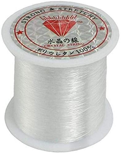 1 Roll of Fishing Line Crystal Clear Nylon Fishing Line Spool Lugs SNG The Jewelry Thread for DIY Crafting-0.2mm * 155M Clever Design