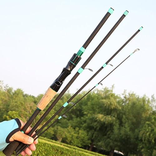 Spin & Casting Rods, Strong Carbon&Glass Composite Fishing Rod with Stainless Steel Line Guides for Bass, Trout, Panfish, Catfish(POLISHED SPIN 1.65M)
