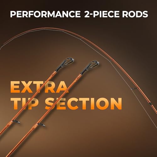 KastKing Lethal Blaze Twin-tip Fishing Rod and Reel Combo, Spinning & Baitcaster Combo, Flame Pattern Design, IM6 Graphite 2Pc Rod with Backup Tip Section, Stainless-Steel Guides, EVA Handle - style: Spin-6'8" Ml-2000 Reel (2pcs+extra Tip)