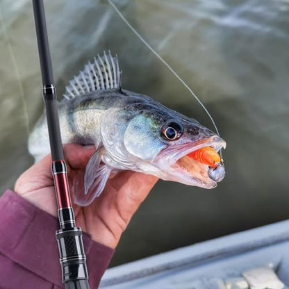 Goture Travel Fishing Rod - Spinning Fishing Rods - Portable 5/6 Sections Adjustable-Length Lightweight 24T Carbon Fiber Fishing Rods for Saltwater Freshwater Trout Bass Walleye Pike, Red - color: 806S - 8ft/2.4m spining rod