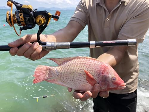 Telescopic Fishing Rod and Reel Combination, 240 Cm Carbon Fiber Rod, Adult Foldable Fishing Rod Suitable for Freshwater and Salt Water - color: Black And Silver