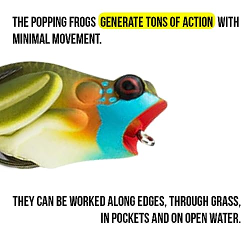 Lunkerhunt Frog Fishing Lure for Bass Fishing | Popping Frog Lure 1/4 oz | Topwater Fishing Bait with Weedless Hooks, Hollow Body, Trout Pike Lures - color: Blue Gill, size: 2.25 inch