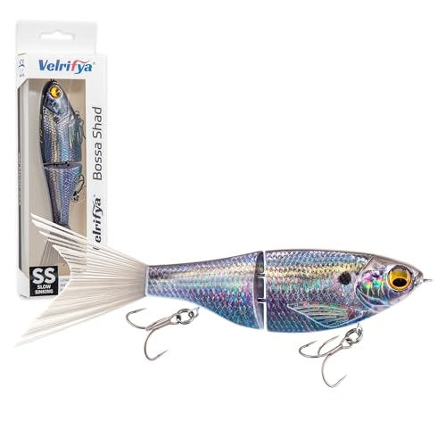 Bossa Shad Multi-Jointed Swimbait – Realistic Shad Profile with Natural Swimming Action for Bass Fishing - color: 06-Iridescent Real