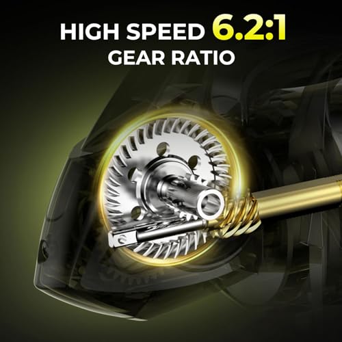 KastKing Sharky Spinning Reel – 5.2:1 & 6.2:1 Gear Ratios, Carbon Fiber Drag 33–39.5LB, 10+1 Stainless Bearings, Lightweight Nylitech Body, Oversize Shaft, for Saltwater & Freshwater - color: 6.2:1-Sharky X, size: 3000
