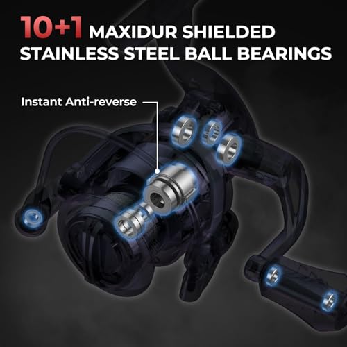 KastKing Sharky Spinning Reel – 5.2:1 & 6.2:1 Gear Ratios, Carbon Fiber Drag 33–39.5LB, 10+1 Stainless Bearings, Lightweight Nylitech Body, Oversize Shaft, for Saltwater & Freshwater - color: 5.2:1-Sharky III, size: 1000