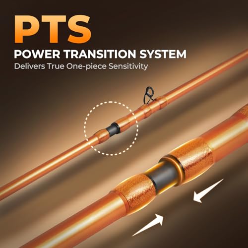 KastKing Lethal Blaze Twin-Tip Fishing Rods, IM6 Graphite Blanks Casting & Spinning Rods, 2-Piece Rod with Extra Tip, PTS Power Transition System, Ideal for Bass, Freshwater & Inshore Fishing - size: 6'10''- MH (2pcs + Extra Tip), style: Cast