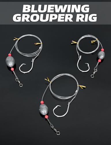 BLUEWING Fishing Grouper Rig Saltwater Fishing Rig with 2/4/6/8oz Egg Sinker Weight, Mono Line and Stainless Steel Circle Hook for Offshore Big Game - size: 7/0-2oz-0.8mm-80lbs