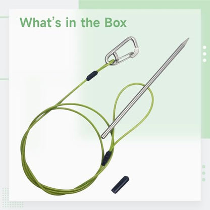 Stainless Steel Fish Stringer, 31.5 in Green Rope, 7.9 in Needle with Safety Buckle and Cap, Fish Holder for Kayak Fishing