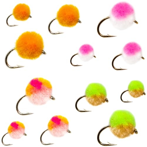 Outdoor Planet 12/24 Fly Fishing Flies Kit Fly Assortment, Dry Flies Wet Flies Streamers Nymphs Flies, Fly Fishing Assortment Kit for Bass Trout Salmon Fishing - color: 12 Egg Pack 1